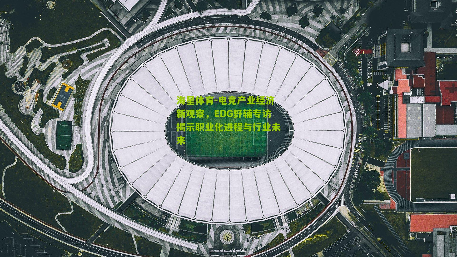 电竞产业经济新观察，EDG野辅专访揭示职业化进程与行业未来